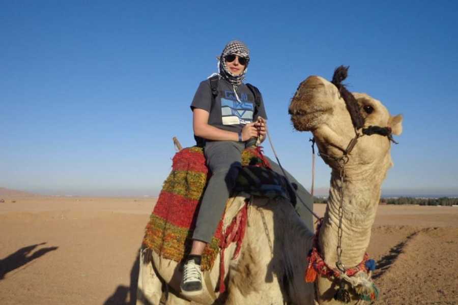 Excursies Egypte Mini Safari Adventure From El Gouna