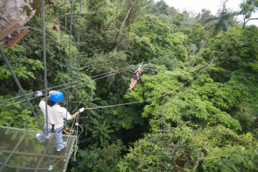 Arenas Brasilito ATV Zip-Line Combo