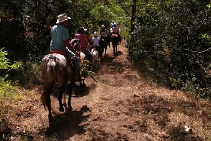Arenas Brasilito ATV Horseback and Zip-line