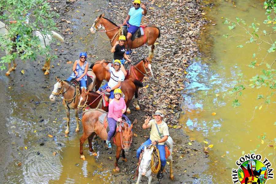 Arenas Brasilito ATV Horseback and Zip-line