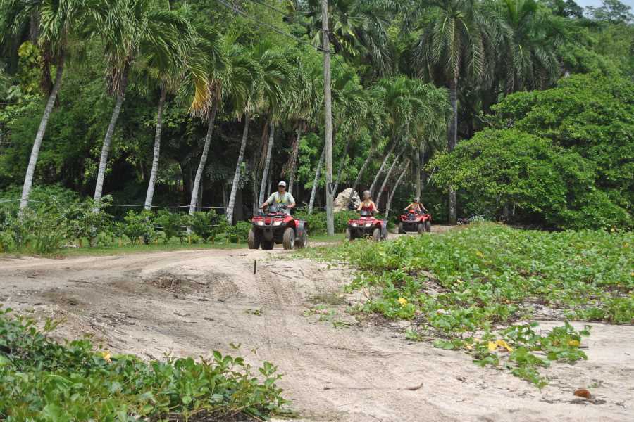 Arenas Brasilito ATV Beaches Expedition