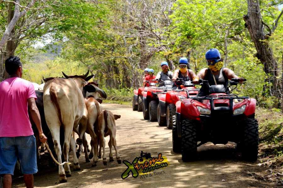 Arenas Brasilito ATV Beaches Expedition