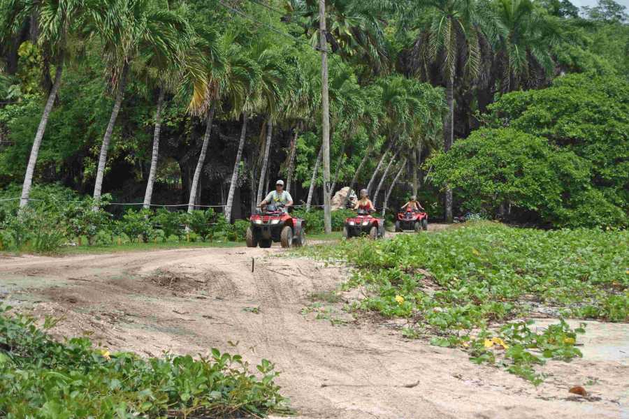 Arenas Brasilito ATV Beaches Expedition