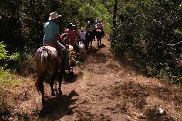 Beach Horseback Ride