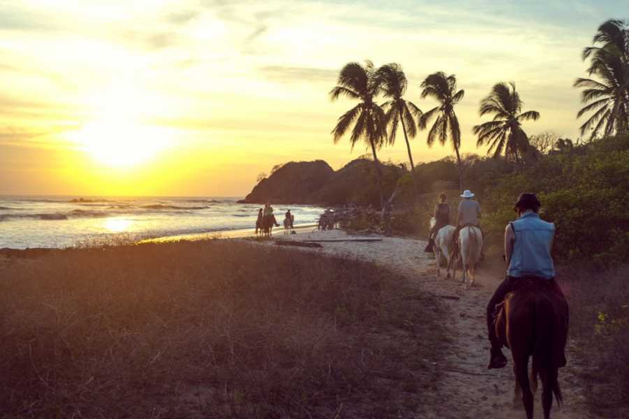 Arenas Brasilito Beach Horseback Ride
