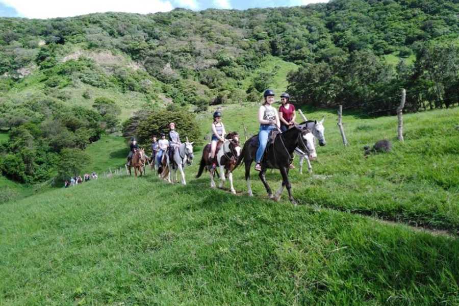 Arenas Brasilito Beach Horseback Ride