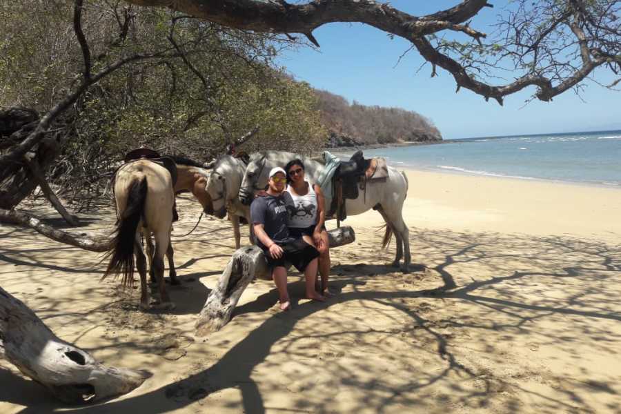 Arenas Brasilito Beach Horseback Ride