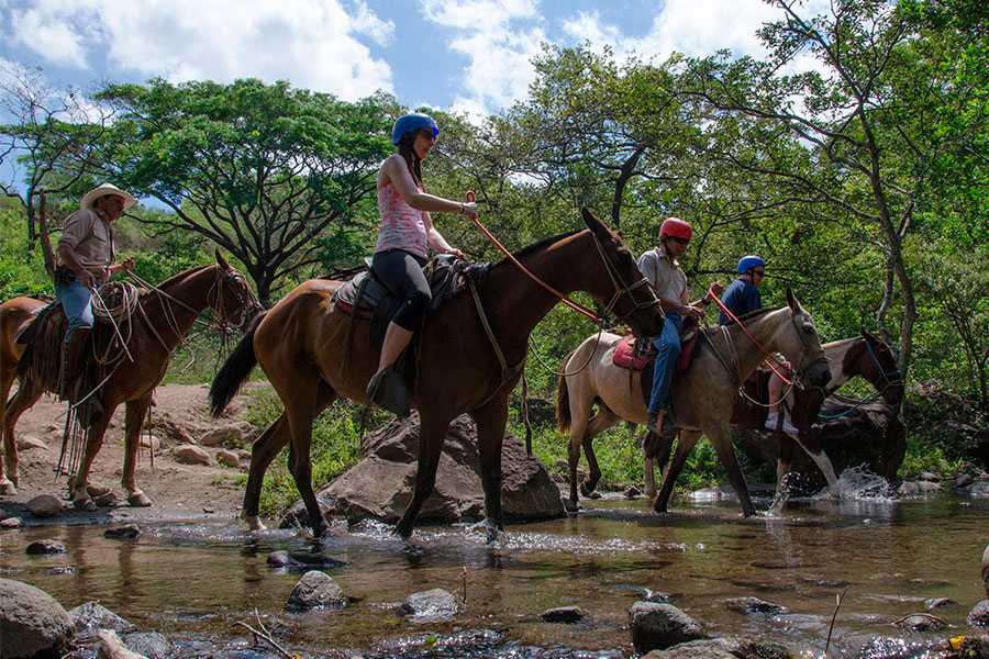 Arenas Brasilito Beach Horseback Ride