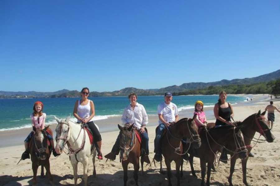 Arenas Brasilito Beach Horseback Ride