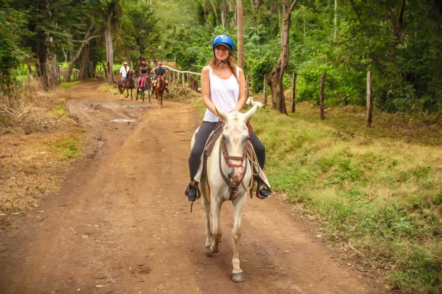 Arenas Brasilito Mountain Horseback Tour