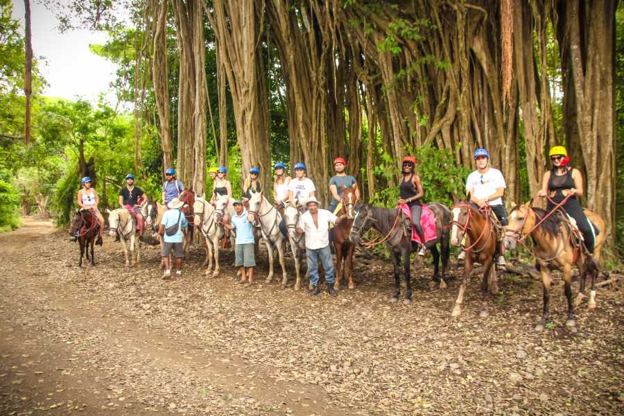 Arenas Brasilito Mountain Horseback Tour