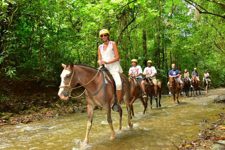 Arenas Brasilito Mountain Horseback Tour