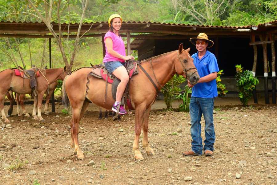 Arenas Brasilito Mountain Horseback Tour