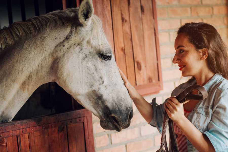 Arenas Brasilito Mountain Horseback Tour