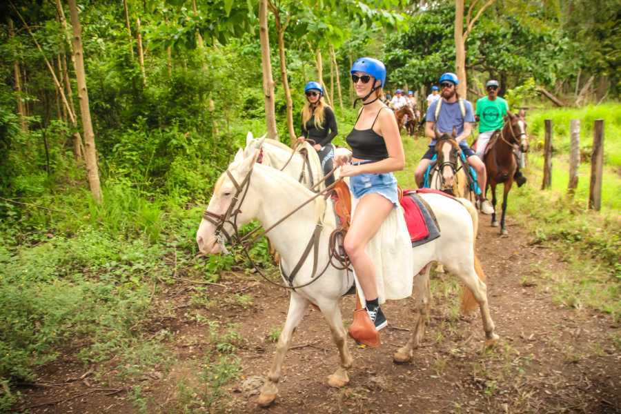 Arenas Brasilito Mountain Horseback Tour