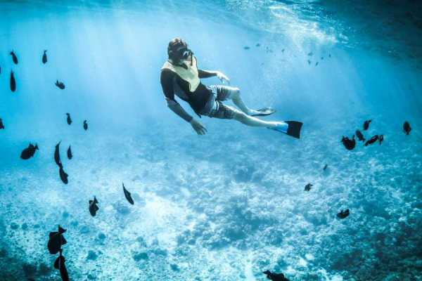 Fishing and Snorkeling Trip
