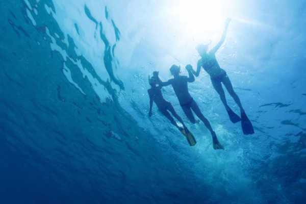 Fishing and Snorkeling Trip