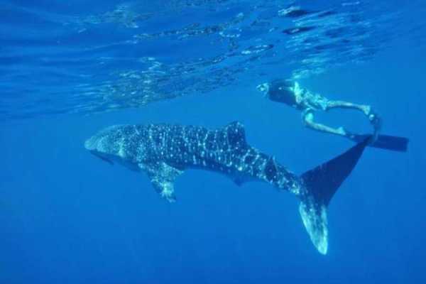 Fishing and Snorkeling Trip