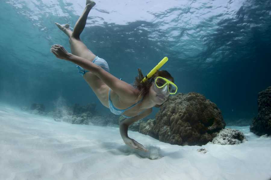 Arenas Brasilito Fishing and Snorkeling Trip