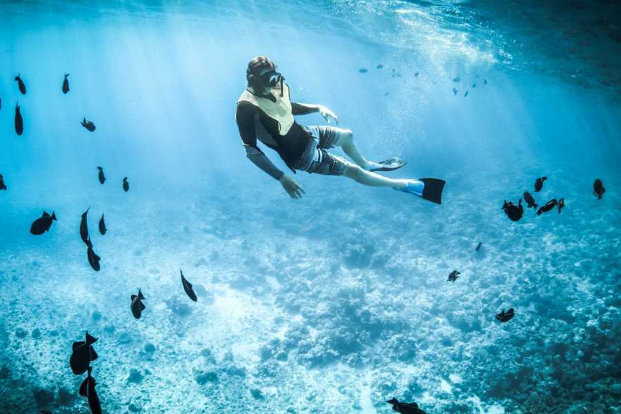 Arenas Brasilito Fishing and Snorkeling Trip