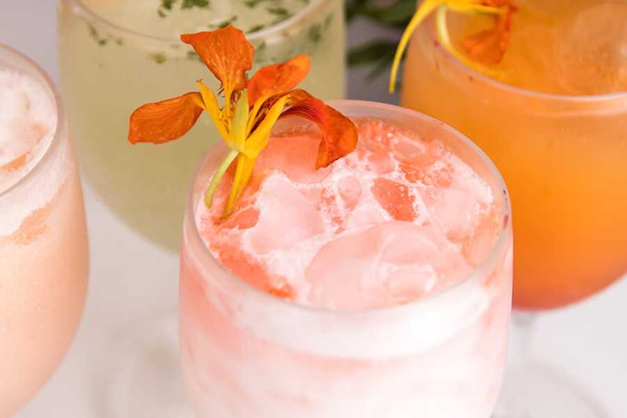 Arenas Brasilito Catamaran Sunset Sailing