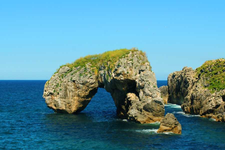 Arenas Brasilito Catamaran Sunset Sailing