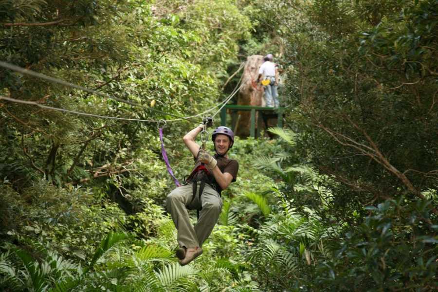 Arenas Brasilito Volcano Mega Combo