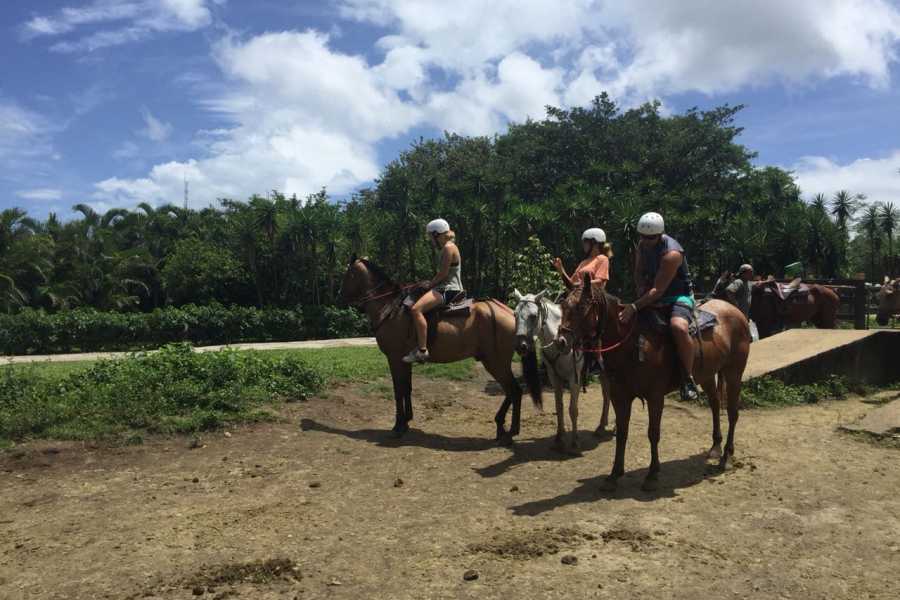 Arenas Brasilito Volcano Mega Combo