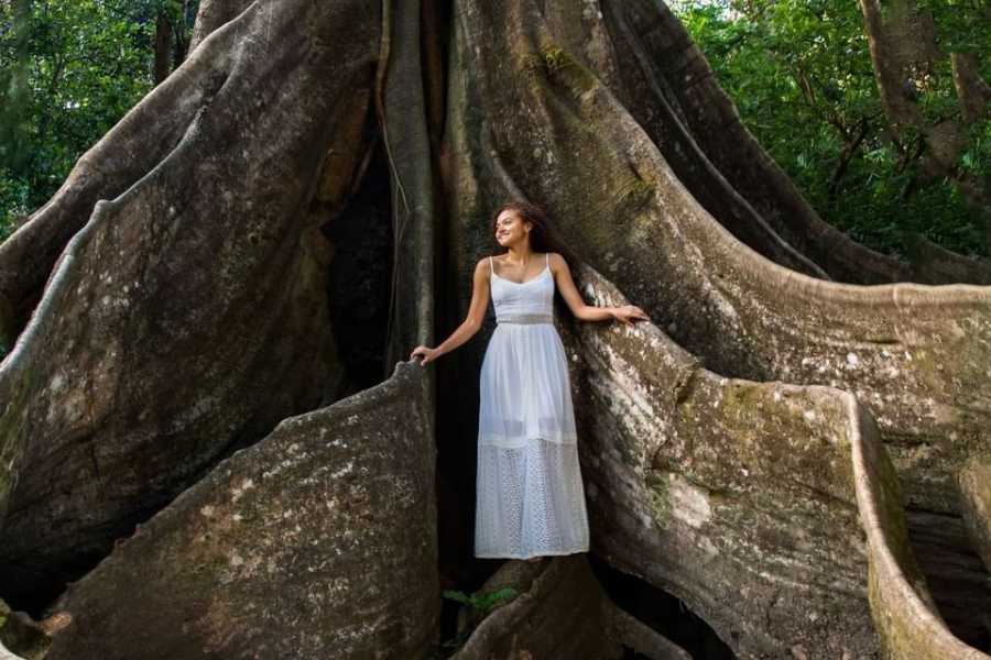 Arenas Brasilito Volcano Mega Combo