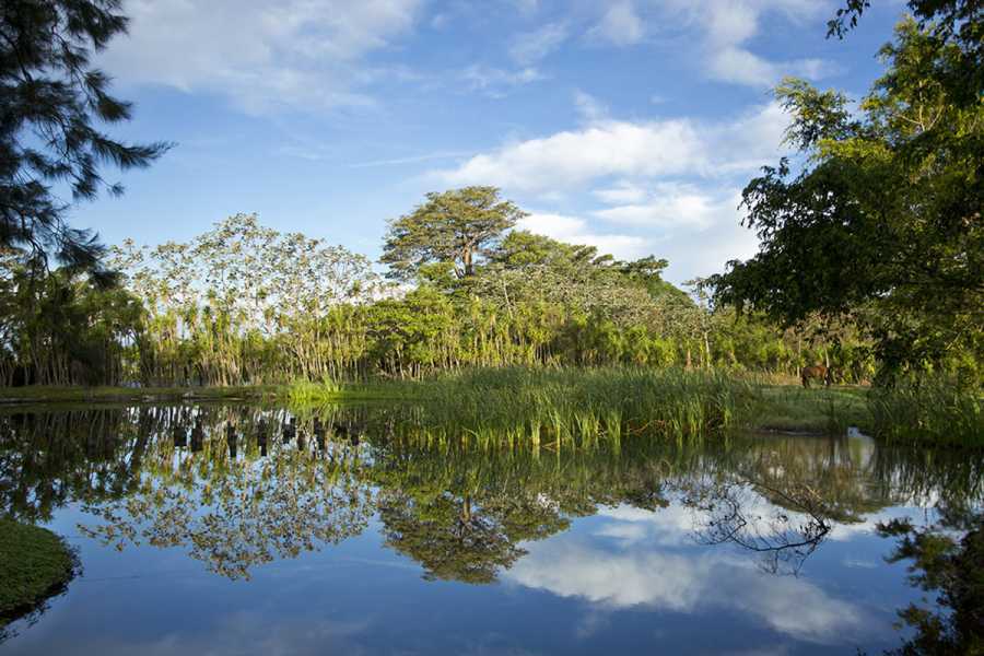 Arenas Brasilito Volcano Mega Combo