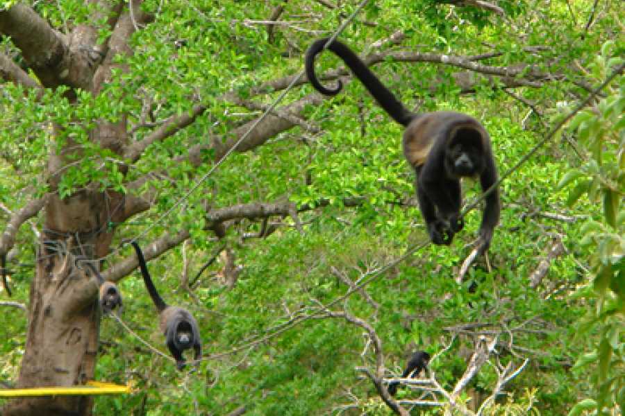 Arenas Brasilito Volcano Mega Combo