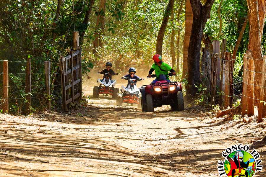 Arenas Brasilito Family Fun Combo