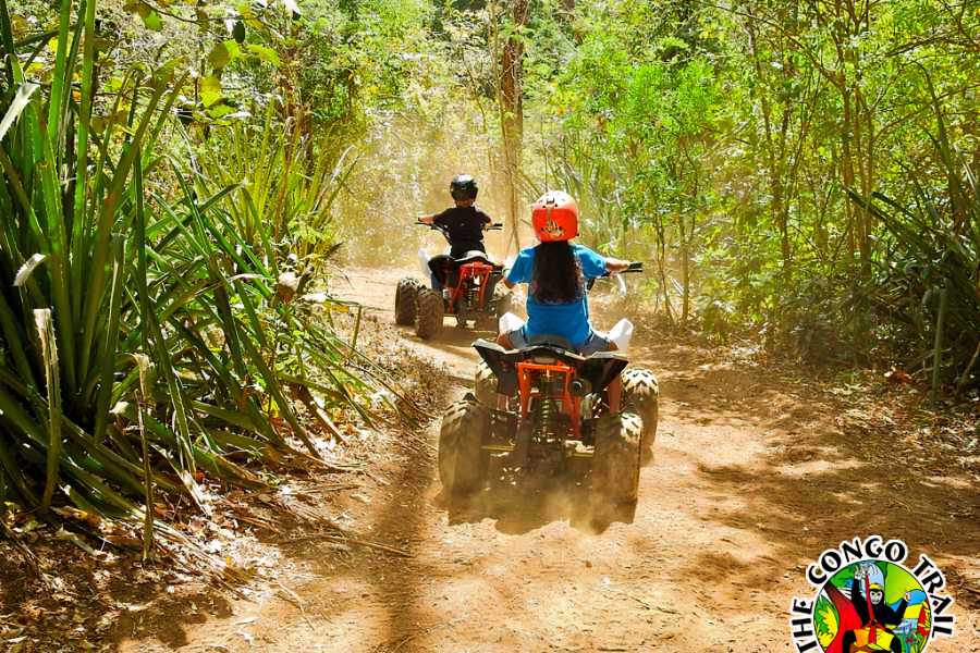 Arenas Brasilito Family Fun Combo