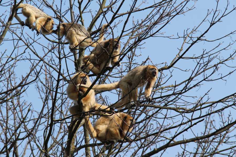 Arenas Brasilito Family Fun Combo