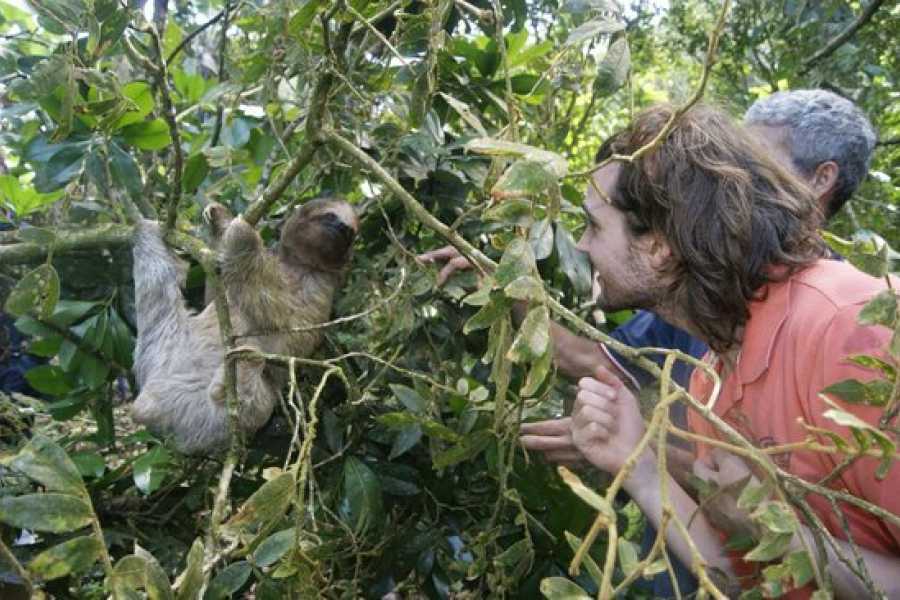 Arenas Brasilito Sloth & Wildlife Adventure