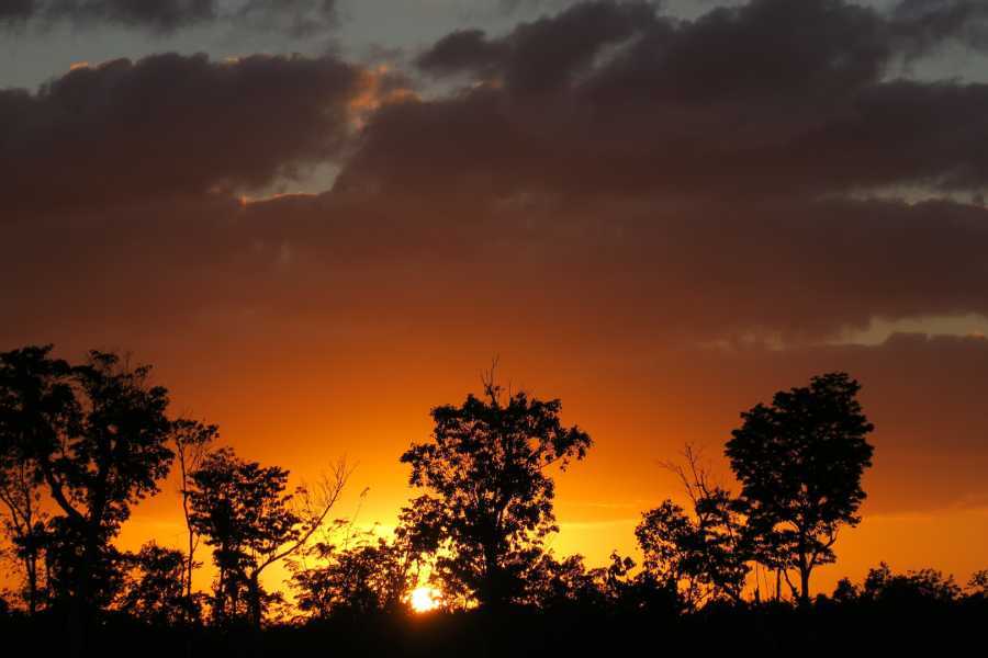 Arenas Brasilito Sloth & Wildlife Adventure