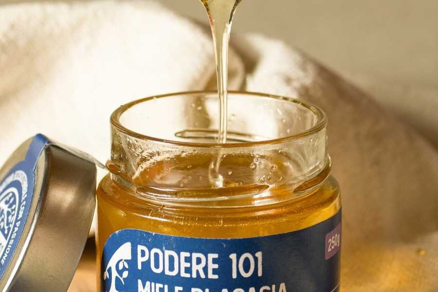 Bologna Welcome - eXtraBo Miele artigianale e prodotti genuini - Speciale Weekend del gusto