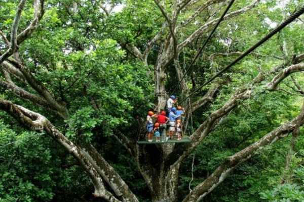 The Extreme Zip-line tour