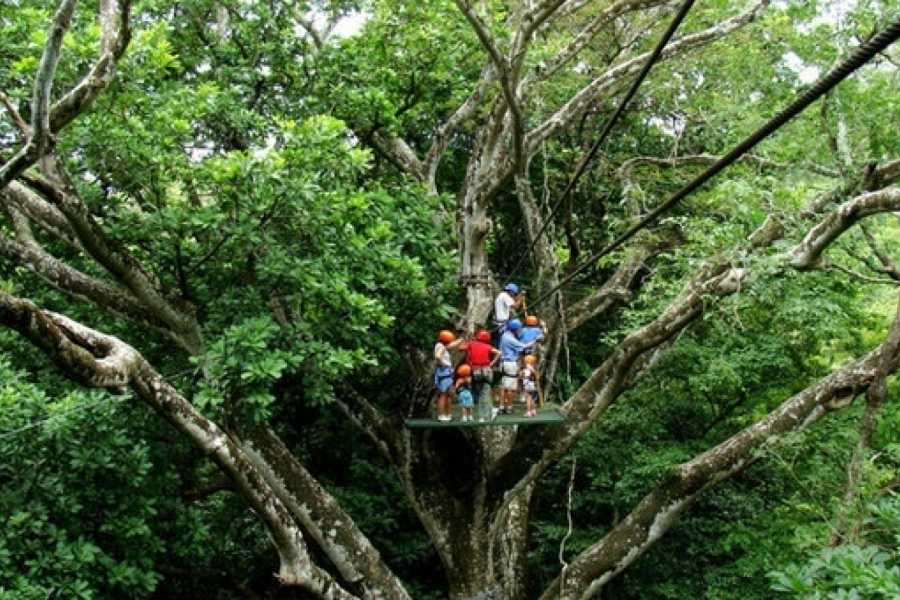 Arenas Brasilito The Extreme Zip-line tour