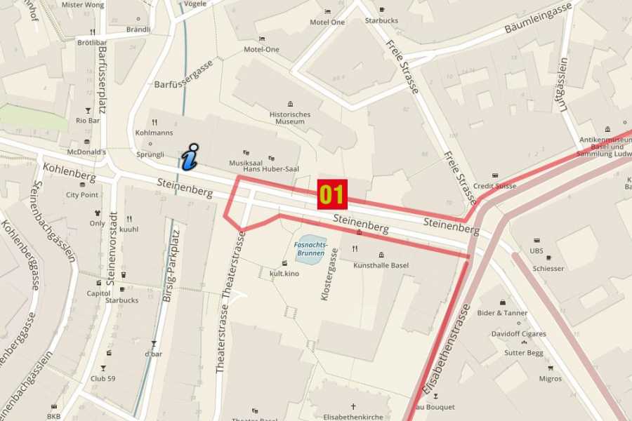 BaselCitytour.ch 2h-Privattour ab Tinguely Brunnen