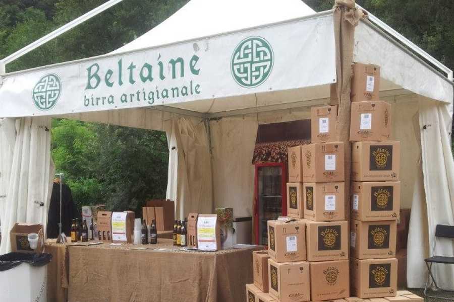 Bologna Welcome - eXtraBo Castagne da scoprire: passeggiata, raccolta e degustazione - Speciale Weekend del gusto