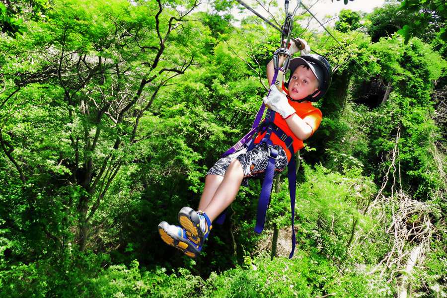 Congo Canopy Just for Kids ATV and Zipline Tour