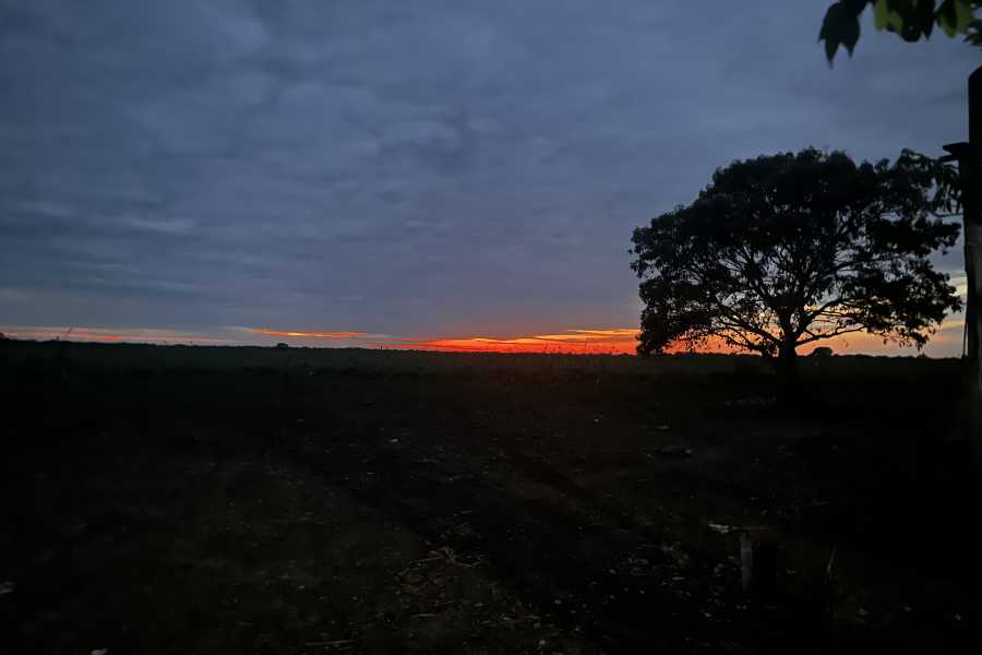 buhostours Rurrenabaque : Tour des Pampas