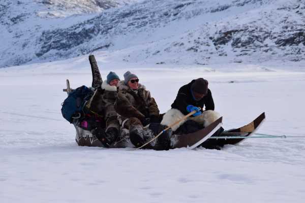 Dogsledding, 1,5 time - Standard