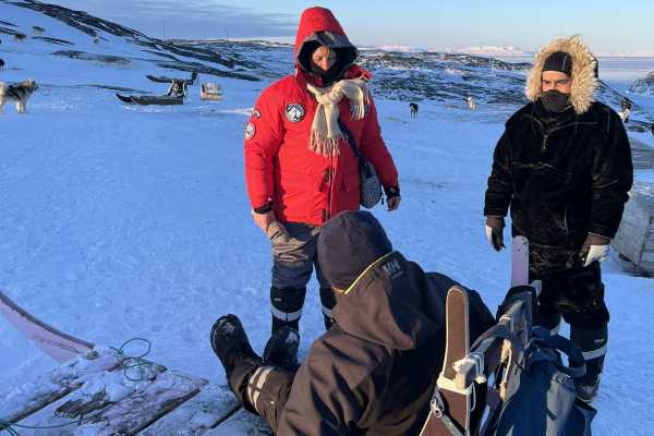 Dogsledding, 1,5 hour - w. guide