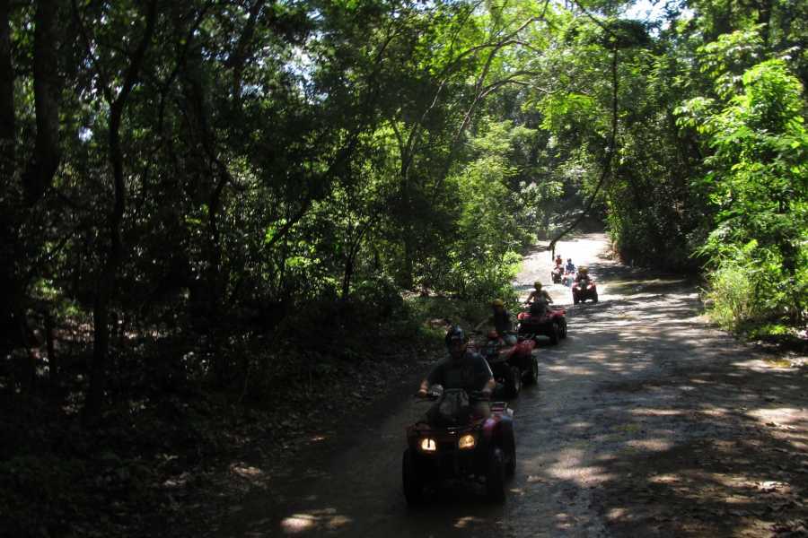 Arenas Brasilito Beach and Trails ATV Expedition