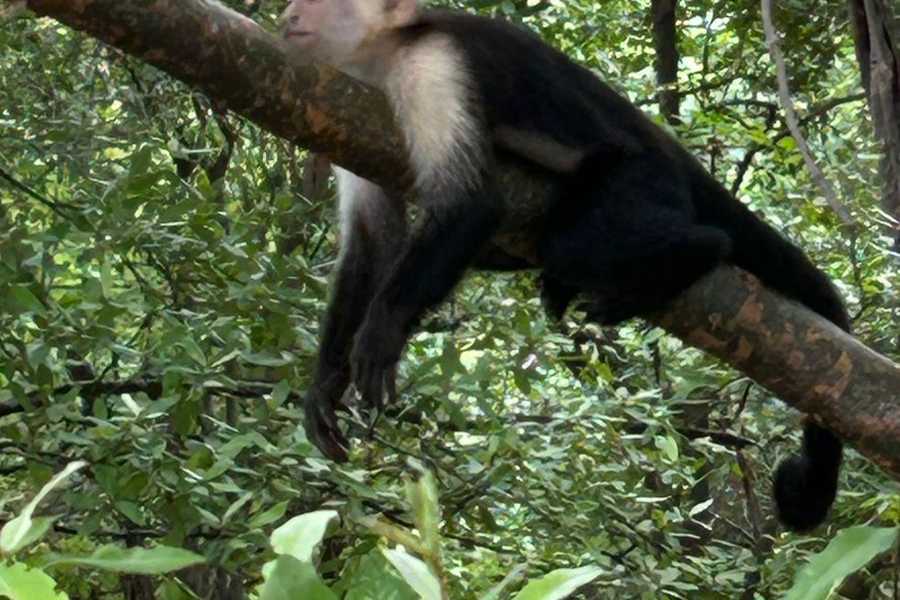 Tour Guanacaste Spirit Ocean Catamaran Tour