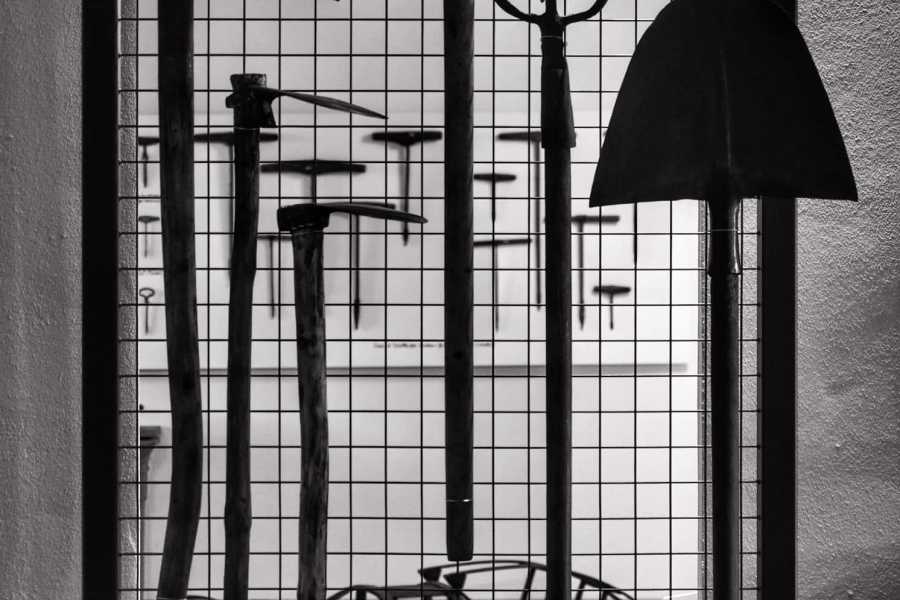 Modenatur Levizzano Rangone Castle and Surroundings – A journey among villas and castles