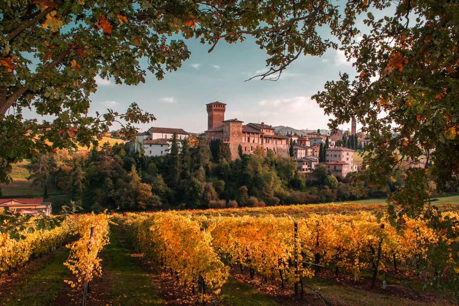 Modenatur Levizzano Rangone Castle and Surroundings – A journey among villas and castles