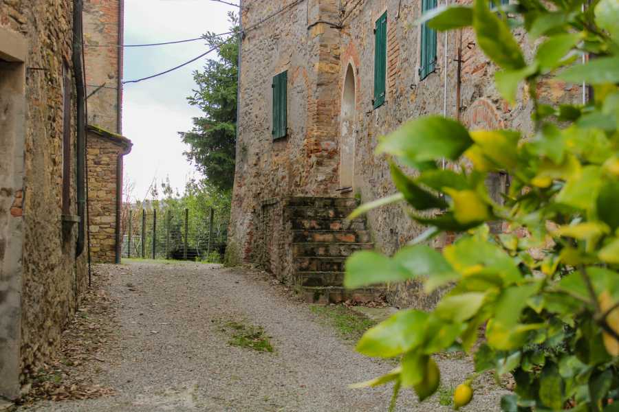 Bologna Welcome - eXtraBo Castello di Serravalle  - Alla scoperta di ville e castelli